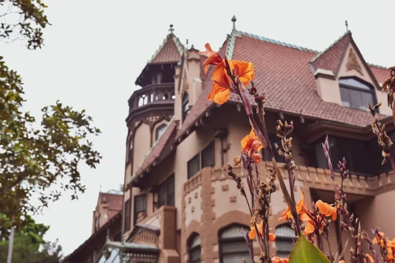 Mount Saint Mary's University Review - Đánh giá toàn diện Mount Saint Mary's University (MSMU) 2026: Học phí, thế mạnh ngành Điều dưỡng và môi trường nội trú an toàn tại Los Angeles dành cho sinh viên quốc tế.