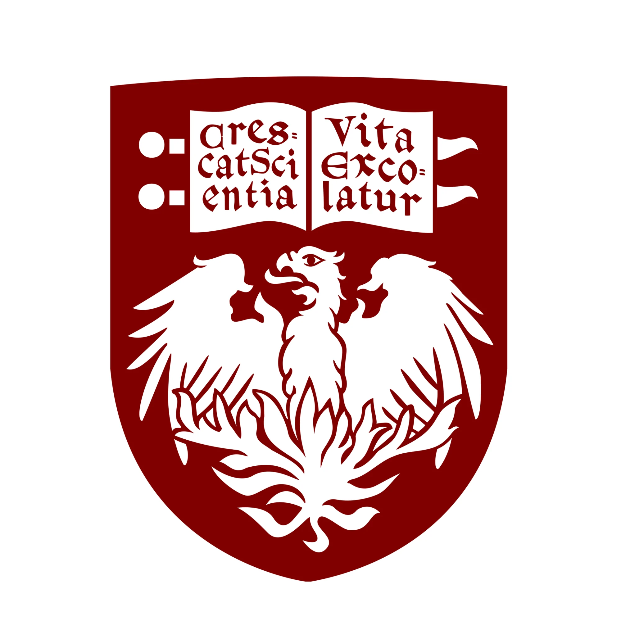 Review University of Chicago: Hệ điều hành trí tuệ và cấu trúc tư duy phản biện 2026