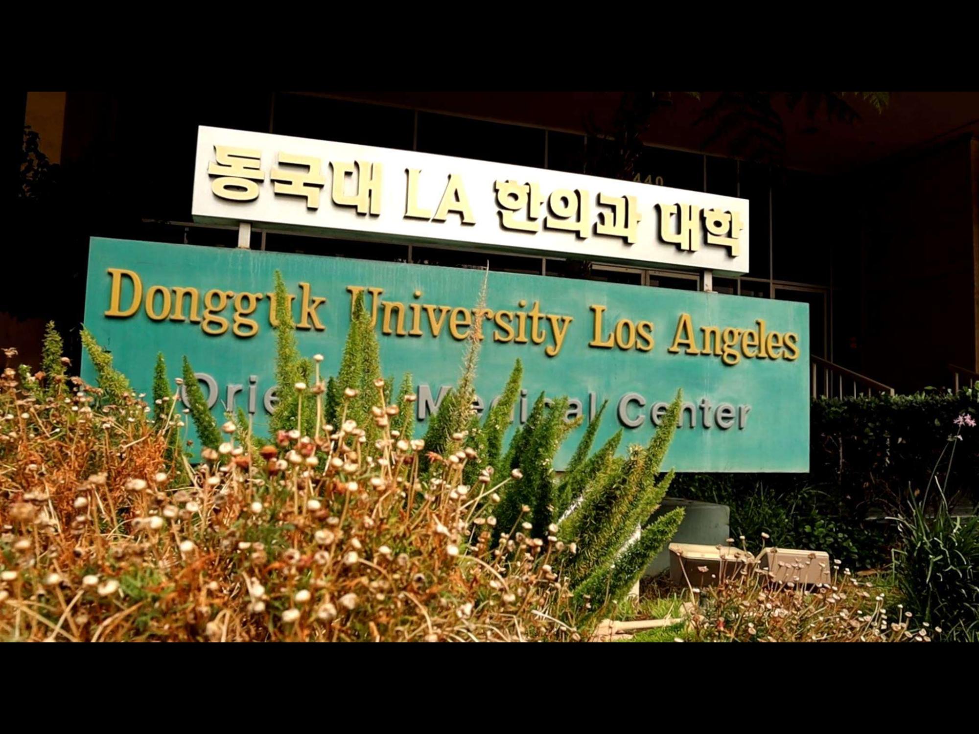 Review Dongguk University – Los Angeles: Giao lộ Đông Tây và nghệ thuật chữa lành bản sắc 2026